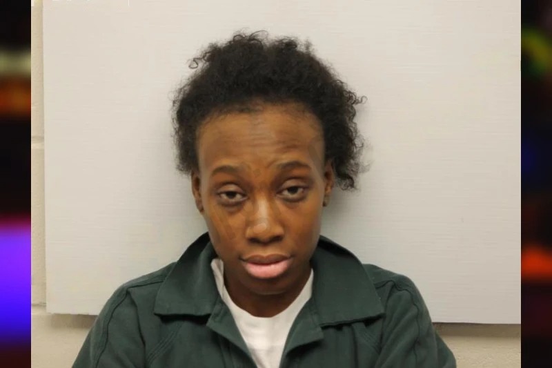 Taylor Lane mugshot – Chatham County , Georgia Taylor Lane mugshot