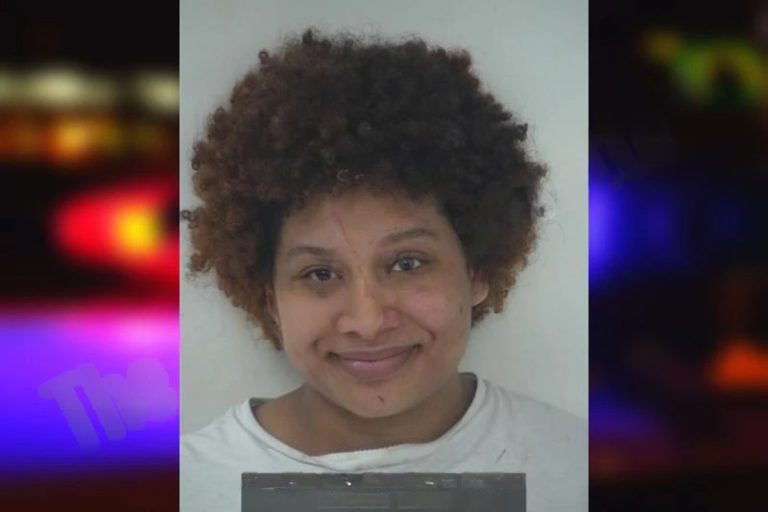 Taylor Olawumi mugshot – Fayette County , Georgia Taylor Olawumi