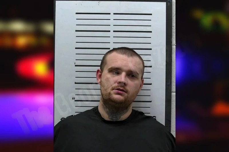 Taylor Williams Mugshots