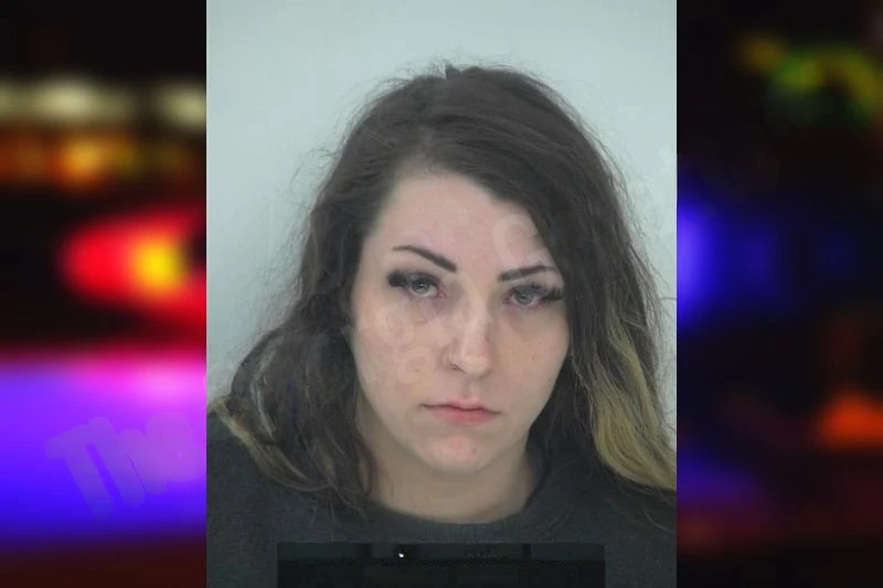 Taylor Willis Mugshots