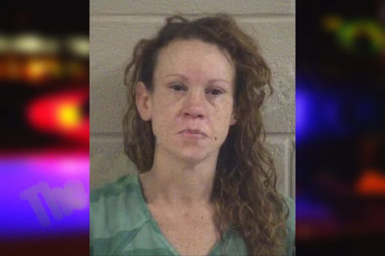 Teddy Jones mugshot – Whitfield County , Georgia Teddy Jones