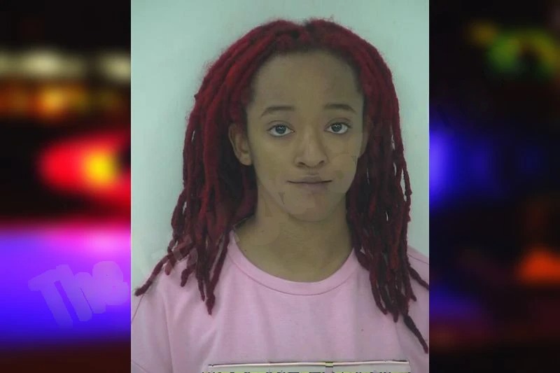 Tellisea Head Mugshots