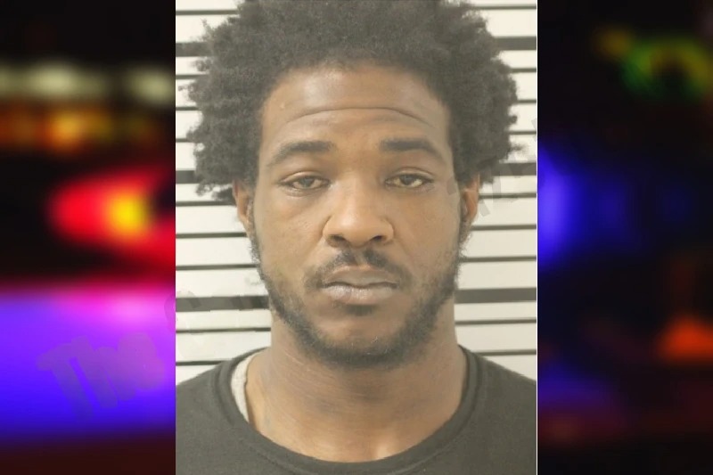 Terence Johnson Mugshots