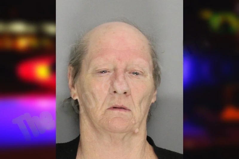 Teresa Harrison Mugshots