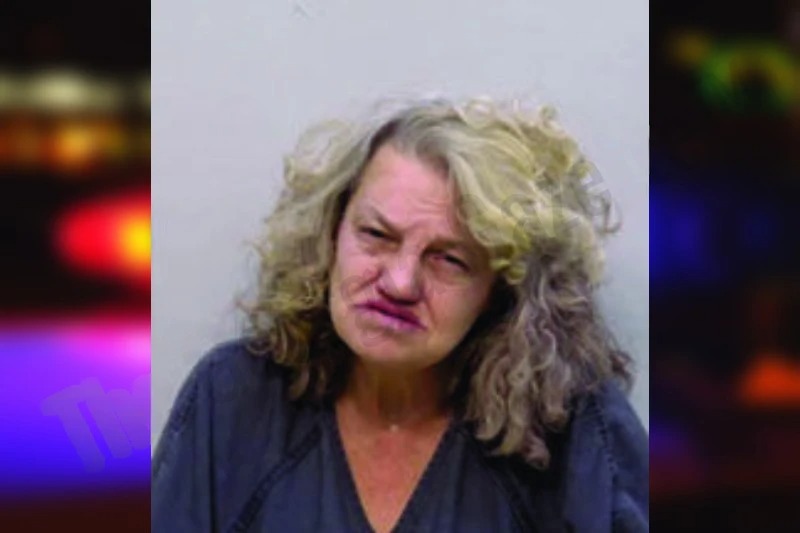 Teri Jodison Mugshots