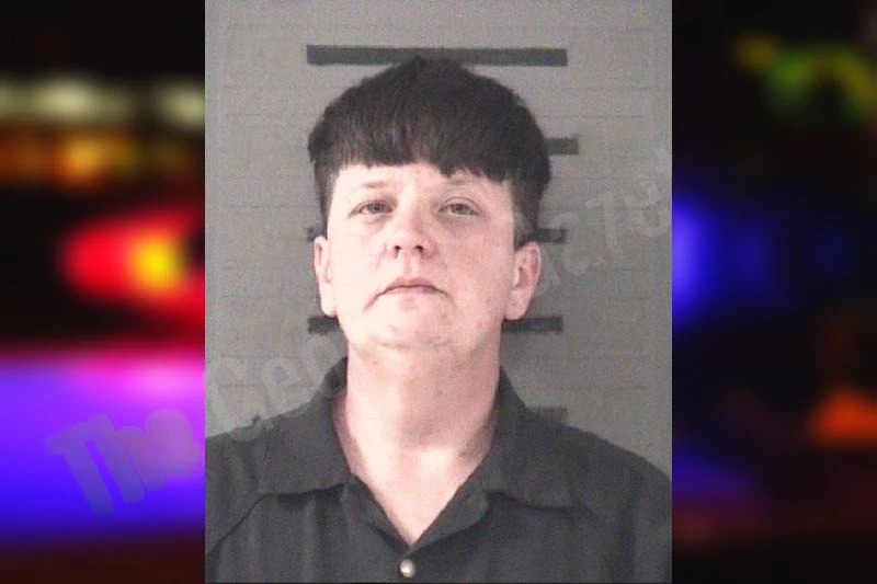 Terina Abshire mugshot – Dougherty County , Georgia Terina Abshire mugshot