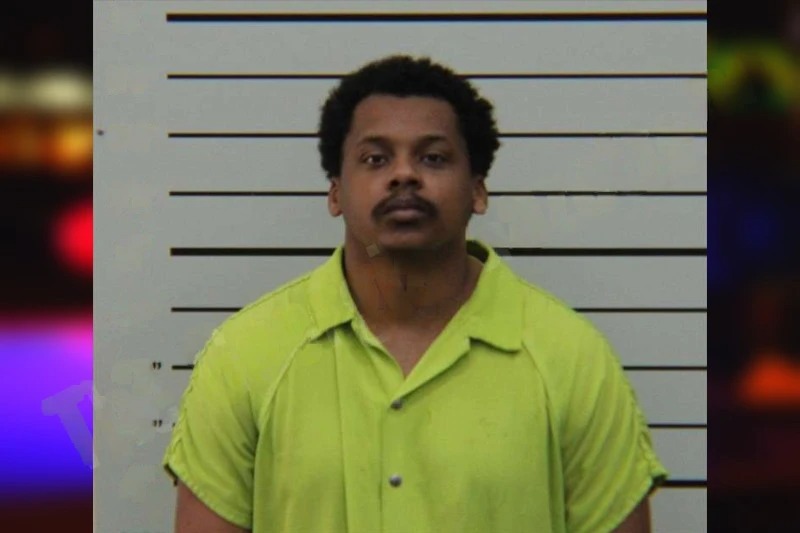 Termine Phyllistone Mugshots