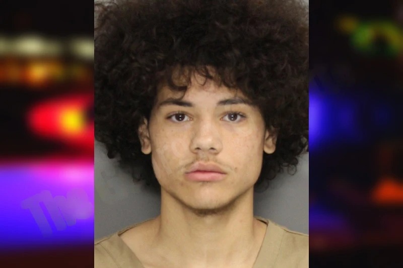 Terrell Dawkins mugshot – Cobb County , Georgia Terrell Dawkins mugshot