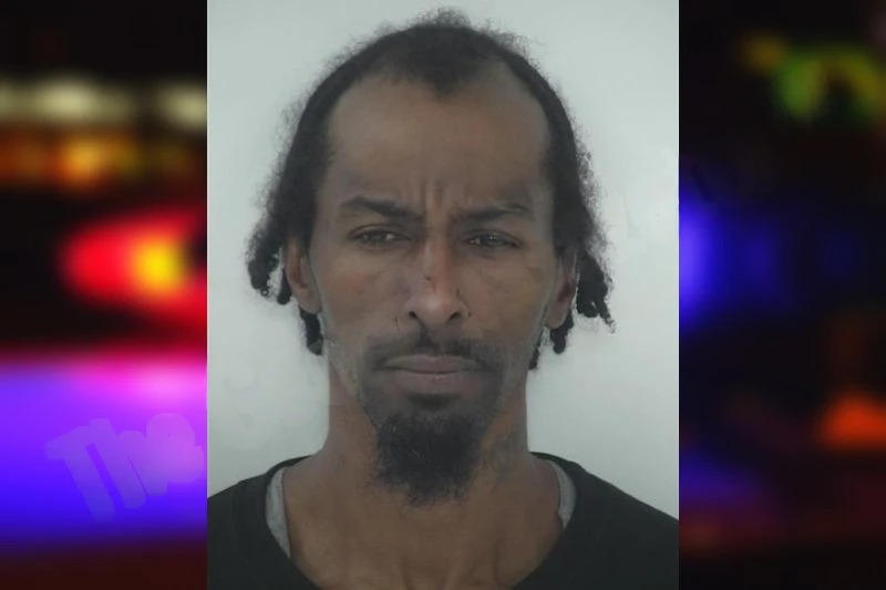 Terrence Brown mugshot – Fayette County , Georgia Terrence Brown mugshot