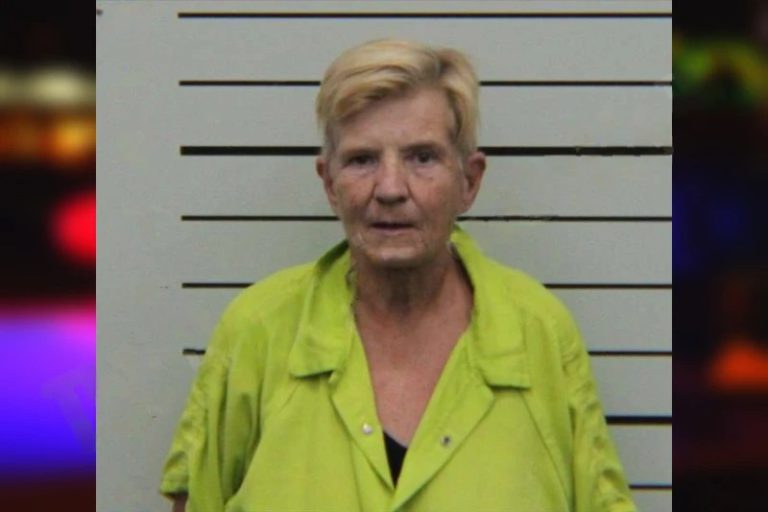 Terri Brantley mugshot – Turner County , Georgia Terri Brantley