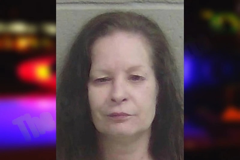 Theresa Ellis mugshot – Wayne County , Georgia Theresa Ellis mugshot