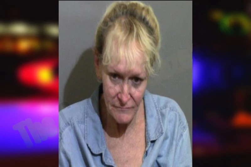 Theresa Roberts mugshot – Glynn County , Georgia Theresa Roberts mugshot