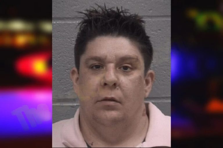 Theresa Wolgast mugshot – Columbia County , Georgia Theresa Wolgast