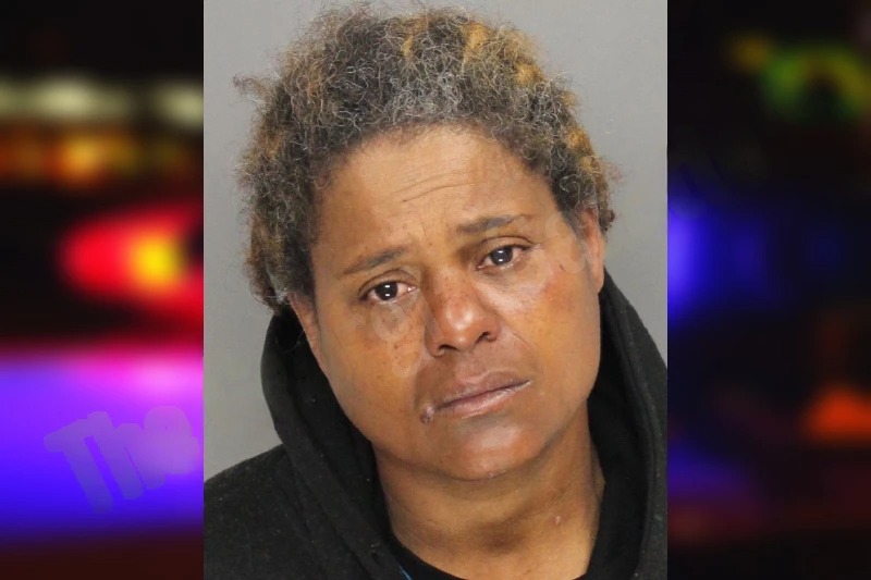 Thessalonia Hawkins mugshot – Cobb County , Georgia Thessalonia Hawkins mugshot