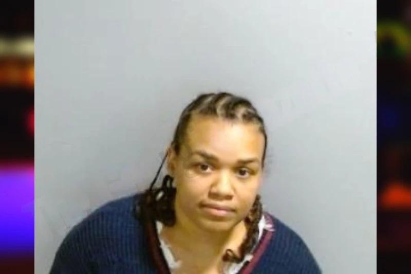 Tierra Harris Mugshots