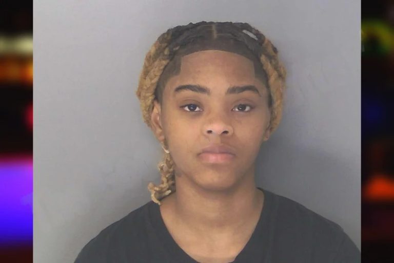 Tierra Lightfoot mugshot – Cobb County , Georgia Tierra Lightfoot