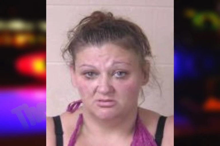 Tiffanie Turner mugshot – Walker County , Georgia Tiffanie Turner