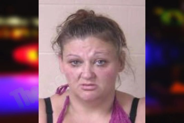 Tiffanie Turner mugshot – Columbia County , Georgia Tiffanie Turner