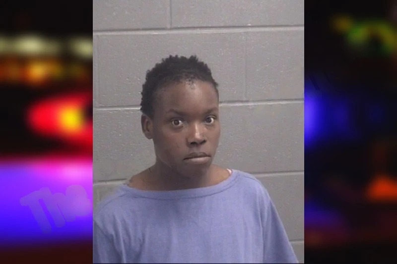 Tiffany Barkley mugshot – Spalding County , Georgia Tiffany Barkley mugshot