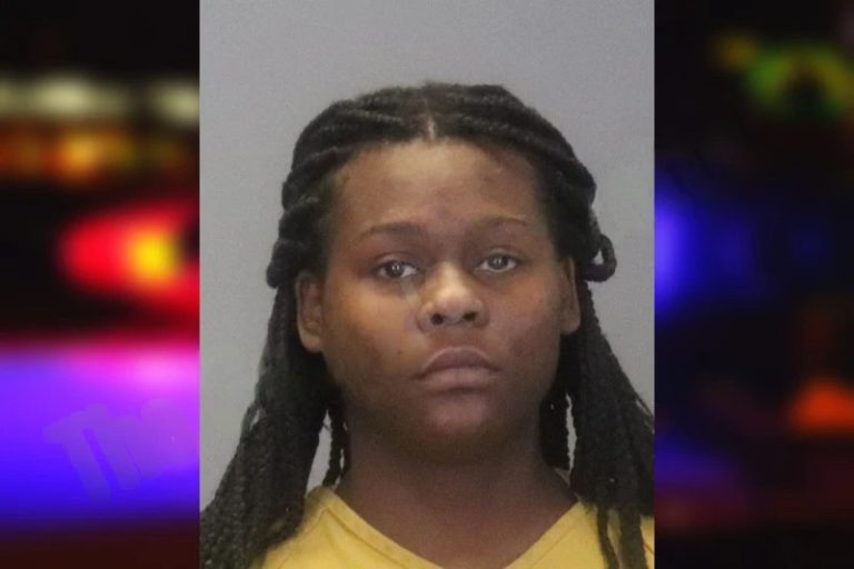 Tiffany Carnes mugshot – Muscogee County , Georgia Tiffany Carnes