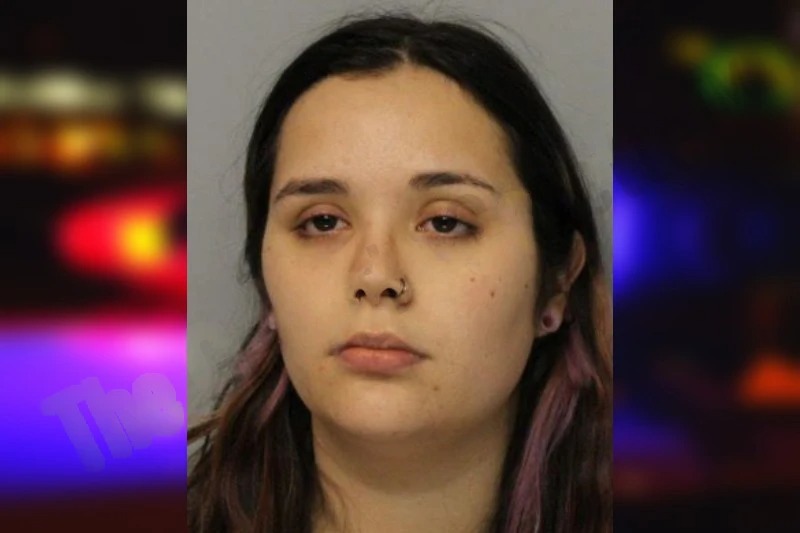 Tiffany Ferraro Mugshots