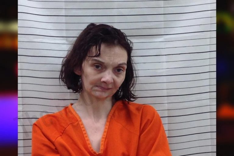 Tiffany Holm mugshot – Pickens County , Georgia Tiffany Holm