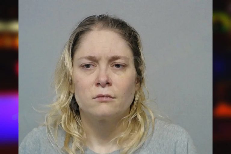 Tiffany Hoover mugshot – Bibb County , Georgia Tiffany Hoover