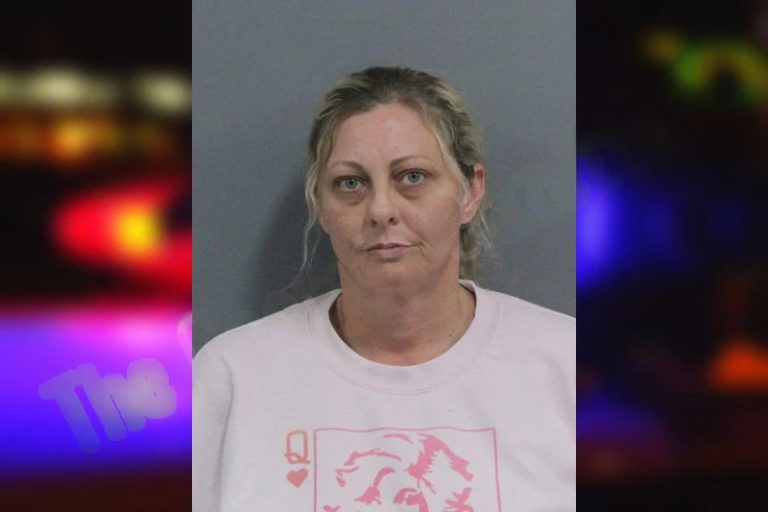 Tiffany Lowe mugshot – Catoosa County , Georgia Tiffany Lowe