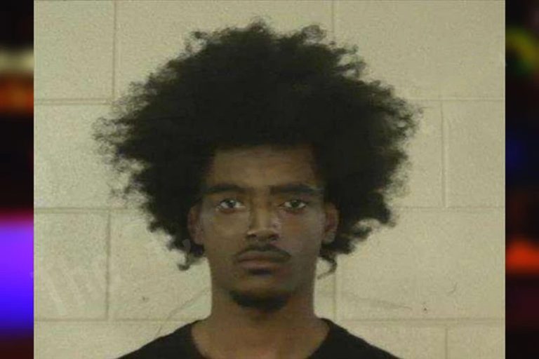 Timere Davis mugshot – Liberty County , Georgia Timere Davis