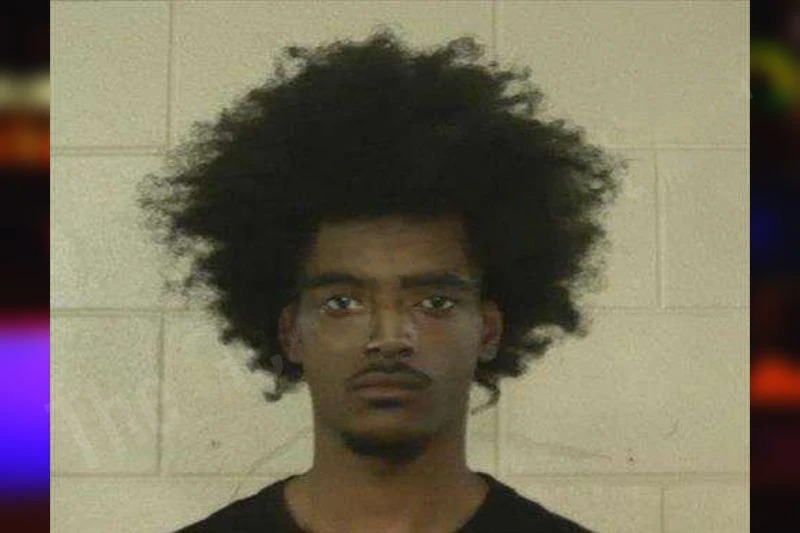 Timere Davis Mugshots