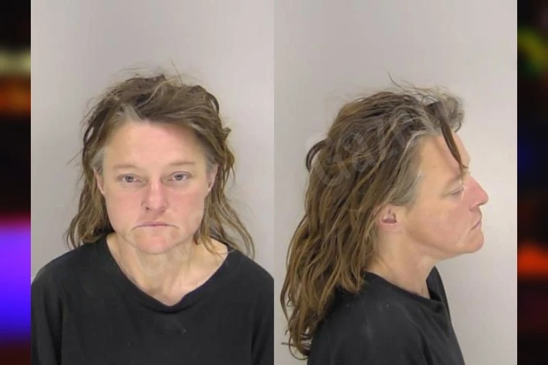 Tina Davis mugshot
