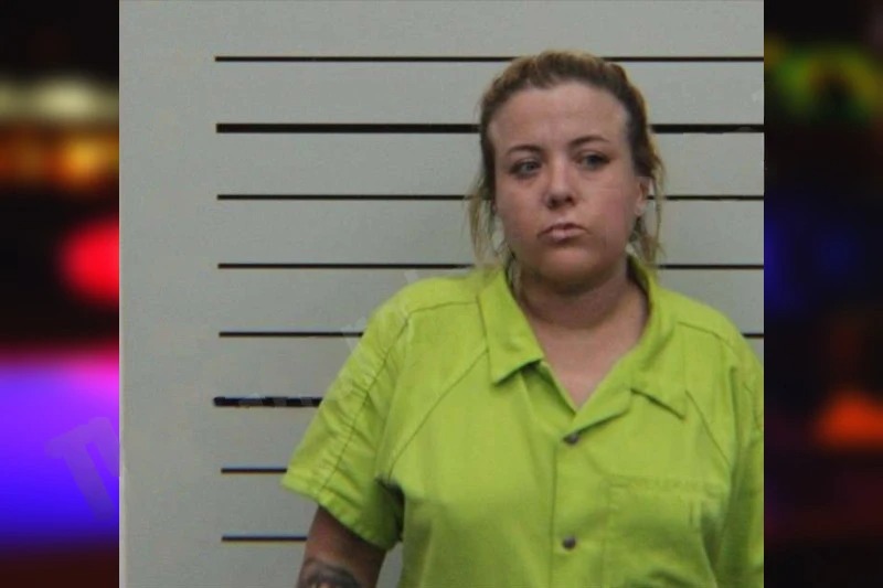 Tina Watson mugshot – Turner County , Georgia Tina Watson mugshot