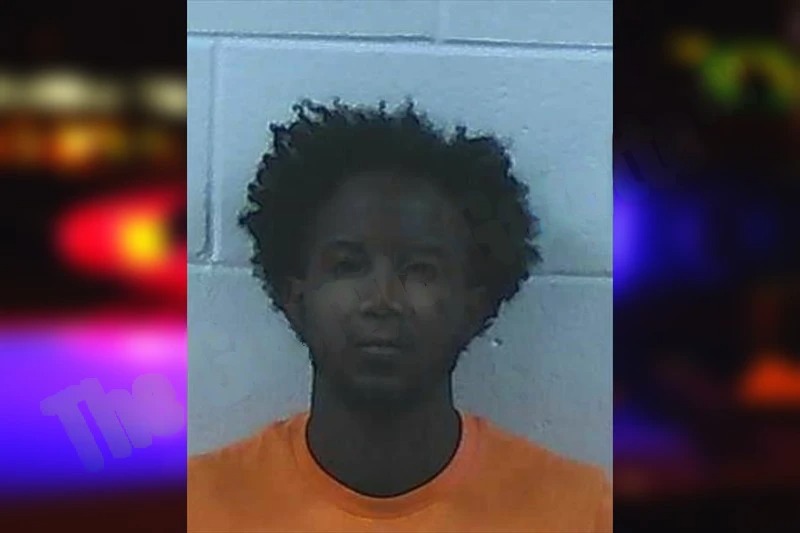 Tomara Lowe Mugshots