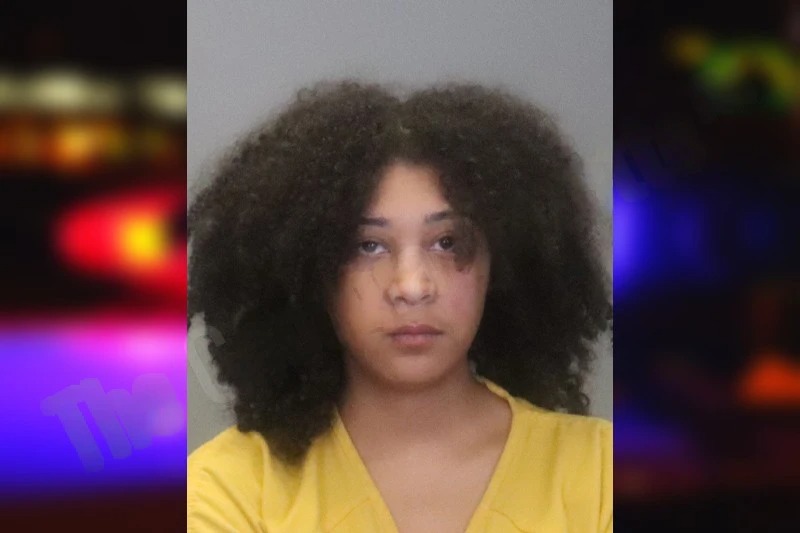 Tomeika Friday mugshot