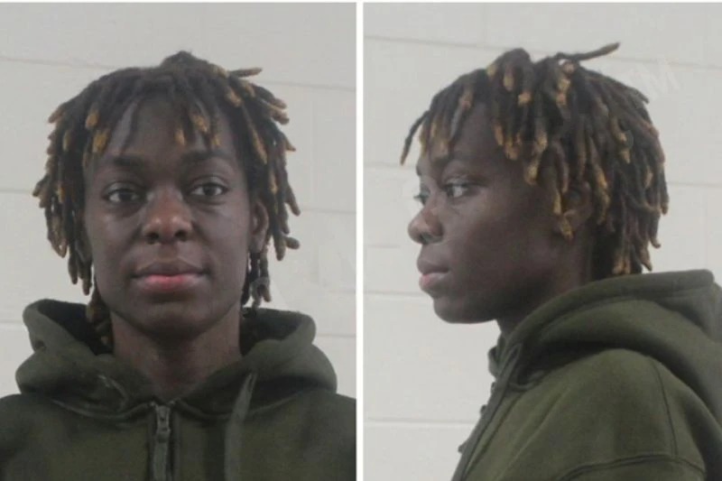 Tonette Davis Mugshots