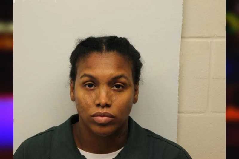 Toni Sawyer Mugshots