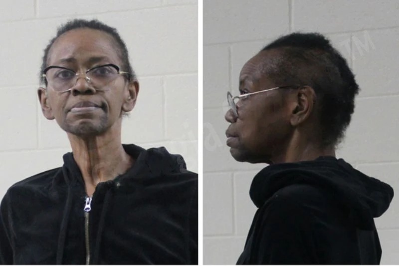 Tonia Lewis Mugshots