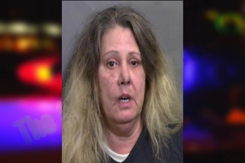 Tonya Kuriger mugshot