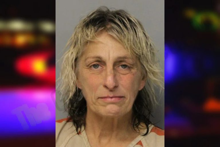 Tracey Dean-Seidel mugshot – Hall County , Georgia Tracey Dean-Seidel