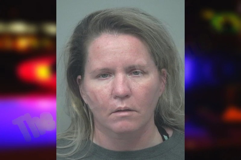 Traci Gearin mugshot