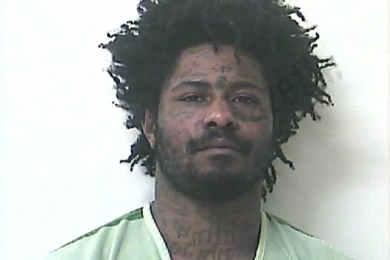 Tracy Graham Mugshots