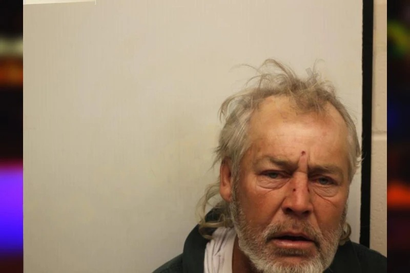 Tracy Holmes mugshot – Chatham County , Georgia Tracy Holmes mugshot