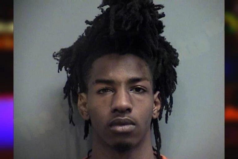 Travis Andrews mugshot – Effingham County , Georgia Travis Andrews