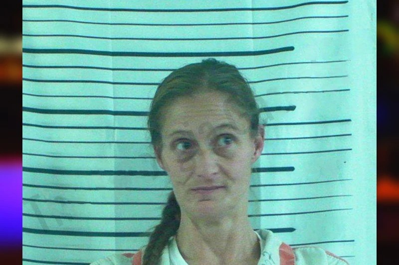 Tricia Chappell Mugshots