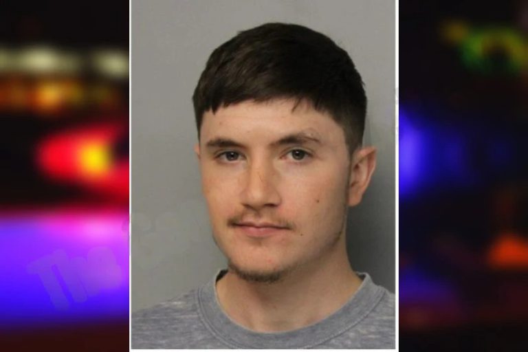 Tristen Elkins mugshot – Hall County , Georgia Tristen Elkins