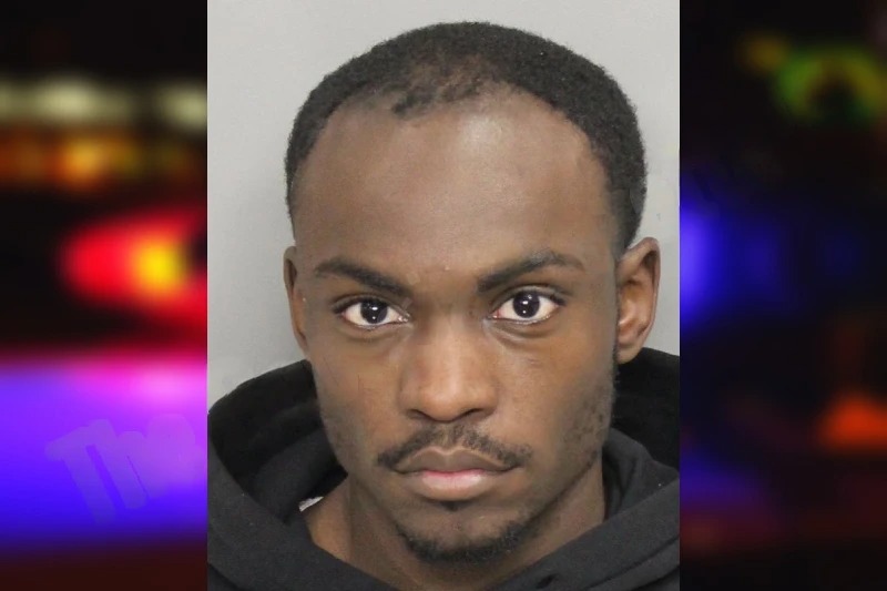 Tristin Hudson mugshot