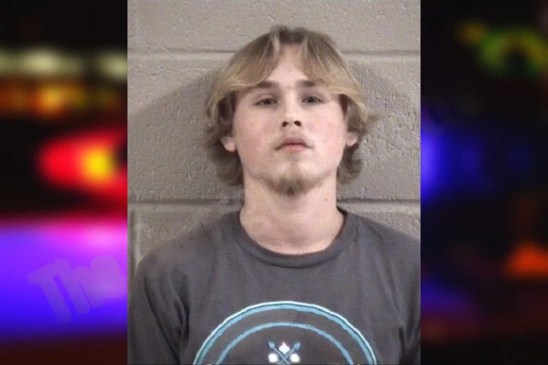 Troy Alton mugshot – Whitfield County , Georgia Troy Alton