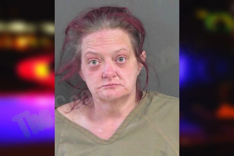 Tuesday Morgan Mugshots