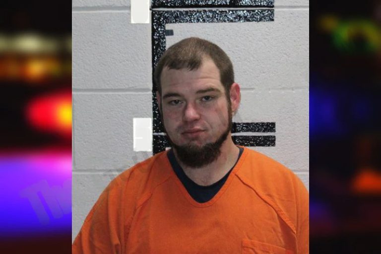 Tyler Levinson mugshot – Murray County , Georgia Tyler Levinson