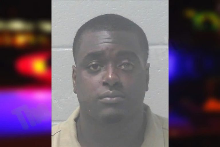 Tyler Williams mugshot – Newton County , Georgia Tyler Williams